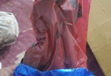 اخبار-حضرموت-|-أفراد-#خفر-السواحل-بـ-#حضرموت-يفشلون-محاولة-تهريب-حشيش-مخدر-مخبأ-بإحكام-داخل-جهاز-كهربائي-على-متن-باص-جماعي