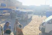 اخبار-حضرموت-|-أبناء-الضليعة-يتجهزون-للانطلاق-إلى-سيئون-للمشاركة-في-احتفالات-الاستقلال-الـ58