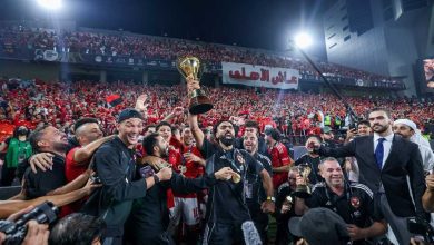 مصدر من الأهلي لـ في الجول: الاستقرار على تدعيم 3 مراكز.. وموقف فايد وجراديشار