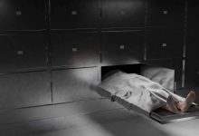 فاطمة بوش.. كيف تحولت أزمة مسابقة ملكة جمال الكون إلى لحظة مجد؟