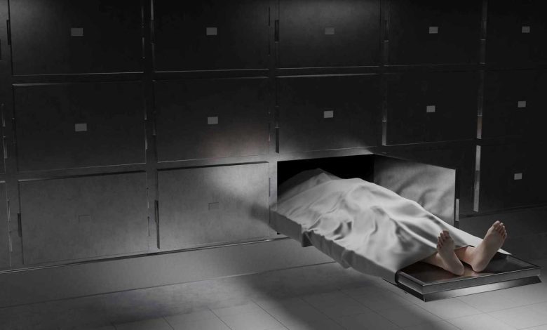 فاطمة بوش.. كيف تحولت أزمة مسابقة ملكة جمال الكون إلى لحظة مجد؟