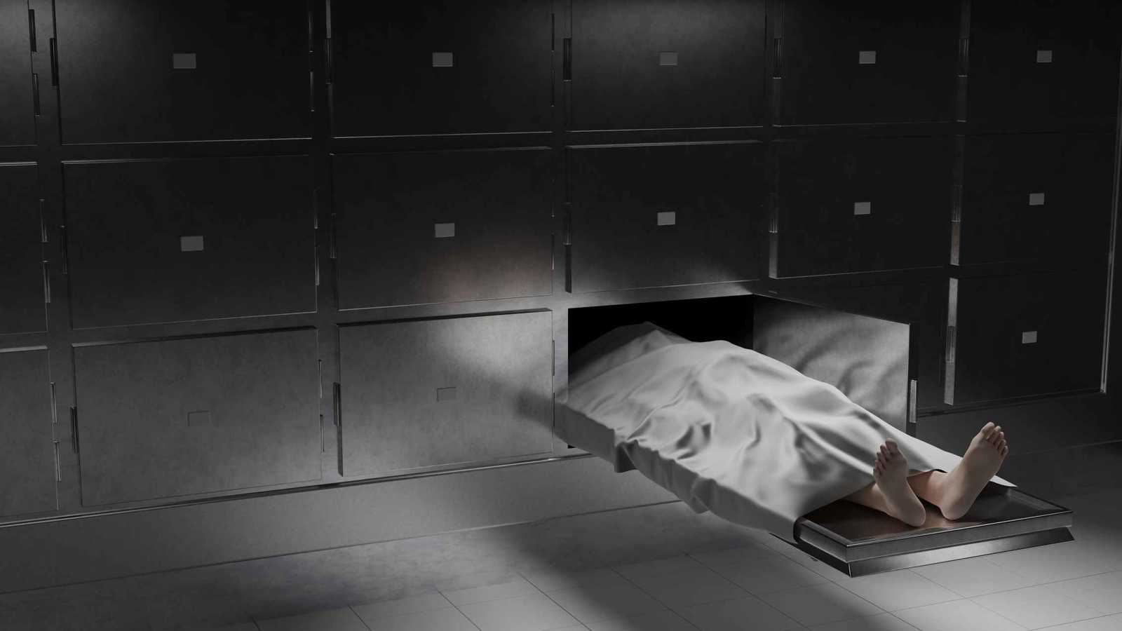 فاطمة بوش.. كيف تحولت أزمة مسابقة ملكة جمال الكون إلى لحظة مجد؟