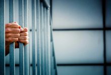 كيف تنجح الثعابين في تناول فرائس أكبر عن فمها؟ (فيديو)