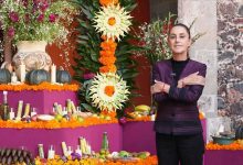 أمام الكاميرات.. كيف تم التحرش برئيسة المكسيك كلاوديا شينباوم؟ (فيديو)