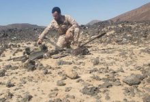 محافظ تعز نبيل شمسان