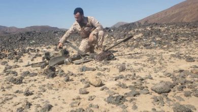 محافظ تعز نبيل شمسان