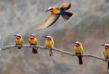 العراق.. العثور على جثة طفل بعد اختطافه في بغداد