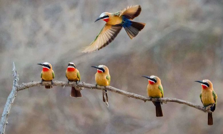العراق.. العثور على جثة طفل بعد اختطافه في بغداد