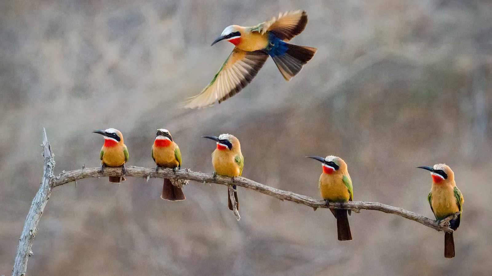 العراق.. العثور على جثة طفل بعد اختطافه في بغداد