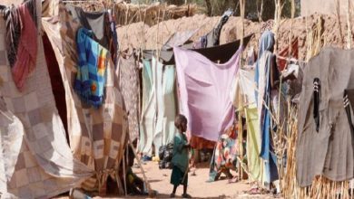 مفوضية حقوق الإنسان: عناصر الدعم السريع ارتكبوا انتهاكات مروعة في الفاشر