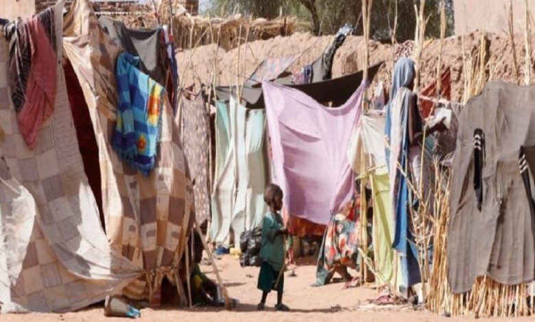 مفوضية حقوق الإنسان: عناصر الدعم السريع ارتكبوا انتهاكات مروعة في الفاشر