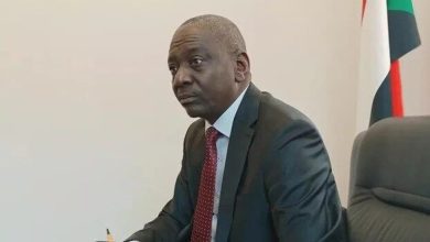 سفير السودان لدى موسكو يؤكد على ضرورة تسوية الصراع دون تدخل خارجي