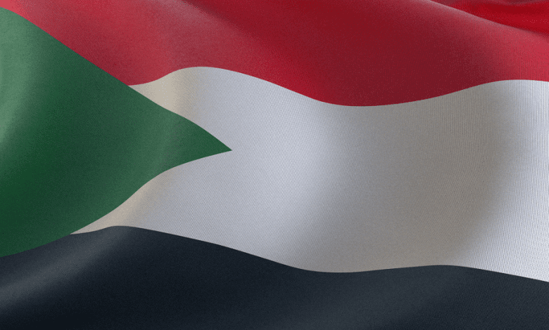 سياسي سوداني يتهم أوكرانيا ودولا غربية بتزويد المتمردين في بلاده بالأسلحة