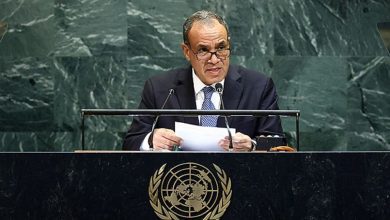 وزير الخارجية المصري حول تصريحات حميدتي: لدينا صبر استراتيجي