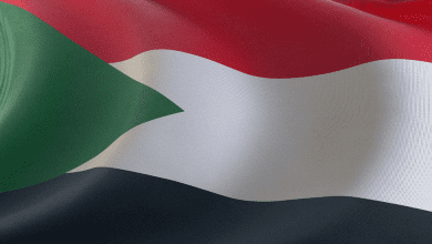 الجيش السوداني يكشف سبب تحطم إحدى طائراته في غرب كردفان