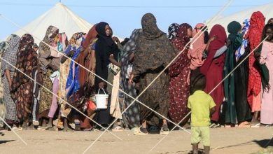 الجيش السوداني يعلن صد هجوم لقوات الدعم السريع على بابنوسة الاستراتيجية