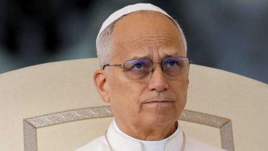 البابا ليون الرابع عشر