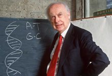 فيديو صادم لامرأة داخل حقيبة سفر على متن حافلة