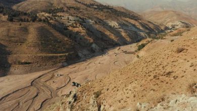 غضب واسع.. صفعة مسن السويس تتكرر مع سيدة مصرية في الشرقية (فيديو)