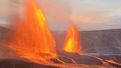 حسين نعمة.. الفنان الذي غيبه المرض وخلّده نخيل العراق