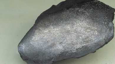 ارتفاع نسبة المسافرين الهنود على كراسي متحركة (فيديو)