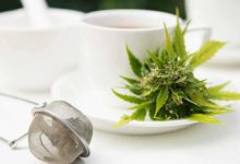 قتل بوحشية.. البابا يزور عائلة ماتيا مينغوزي لتقديم المواساة