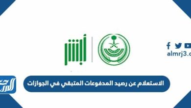 الاستعلام عن رصيد المدفوعات المتبقي في الجوازات 2022