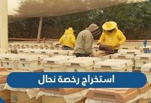 استخراج رخصة نحال