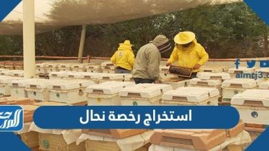 استخراج رخصة نحال