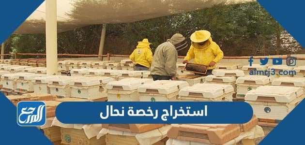 استخراج رخصة نحال