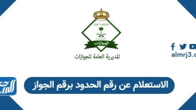 الاستعلام عن رقم الحدود برقم الجواز