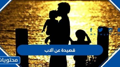 قصيدة عن الاب في يوم الاب العالمي