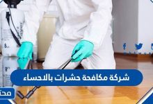 افضل شركة مكافحة الحشرات بالاحساء