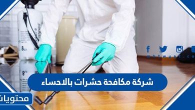 افضل شركة مكافحة الحشرات بالاحساء