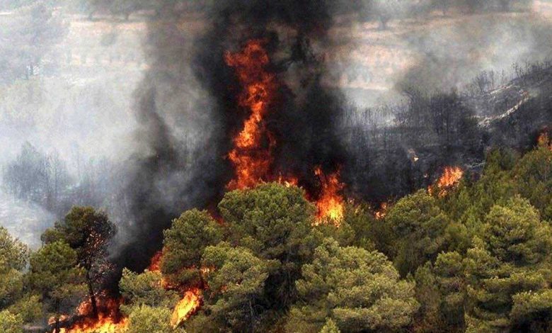 إيران تطلب دعماً خارجياً للمساعدة في إطفاء حرائق شمال البلاد