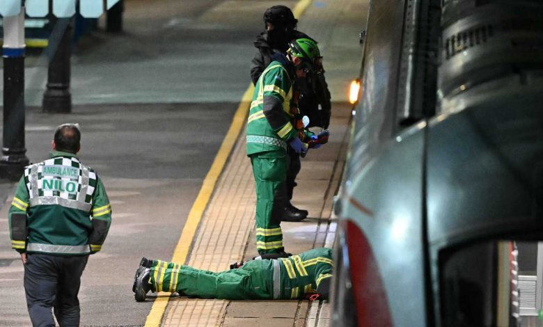 كيف دفعت الصدفة حسين عبد الرسول لاكتشاف مقبرة توت عنخ آمون؟