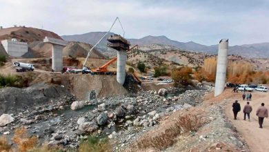 بعد 36 عاما.. فيلم