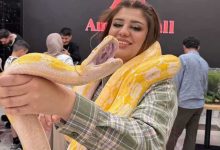 5 عادات يومية لتعزيز السعادة الحقيقية والرضا النفسي