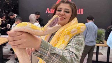 5 عادات يومية لتعزيز السعادة الحقيقية والرضا النفسي