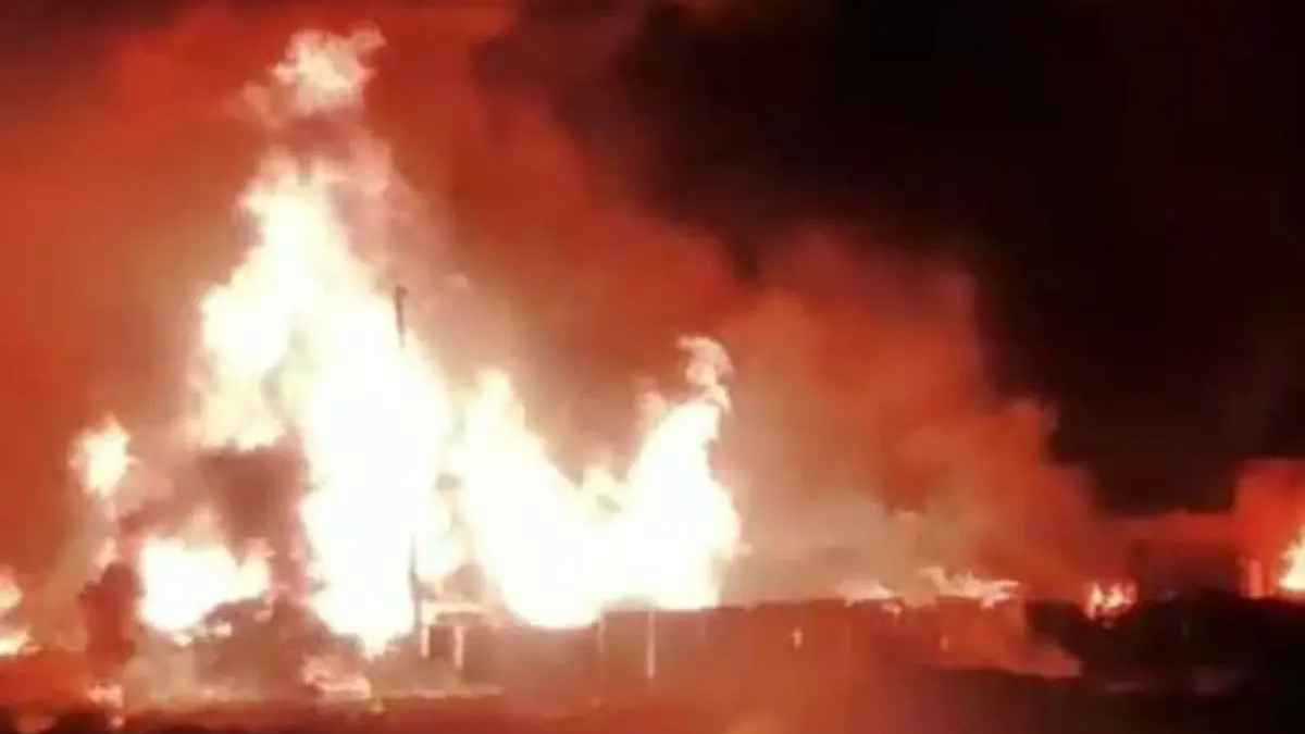 هل يحتوي التين على دبابير ميتة؟ العلم يجيب