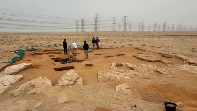 نجاة رجل بأعجوبة بعد زحفه تحت قطار بضائع (فيديو)