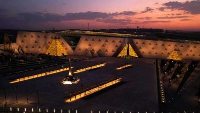 المتحف المصري الكبير يُعيد شيرين عبد الوهاب إلى الأضواء