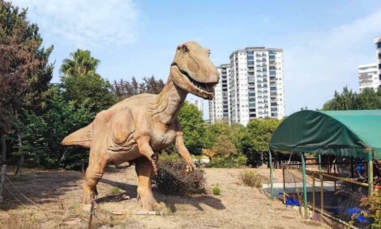 منها قناديل البحر.. هل يمكن للحيوانات بلا دماغ أن تفكر؟