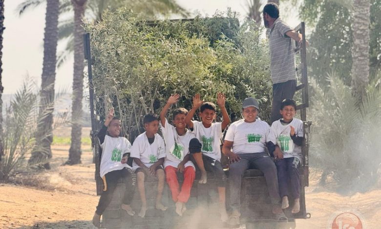 العربية لحماية الطبيعة تبدأ المرحلة الثانية من مشروع "إحياء مزارع غزة" بزراعة 30 ألف شجرة زيتون
