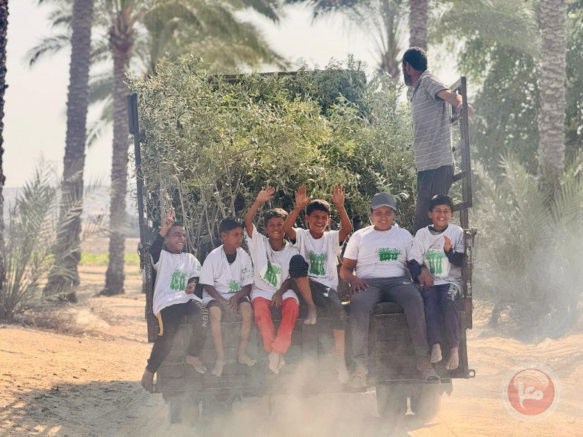 العربية لحماية الطبيعة تبدأ المرحلة الثانية من مشروع "إحياء مزارع غزة" بزراعة 30 ألف شجرة زيتون