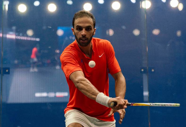 محمد أبو الغار