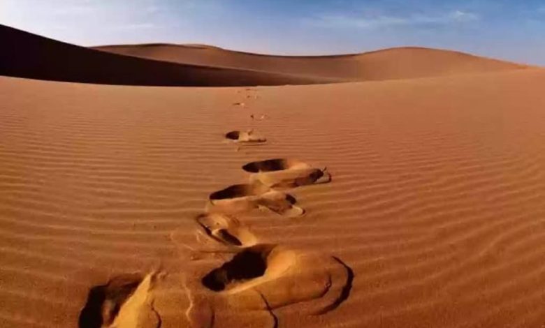 أغرب مخلوق يعيش في صحراء السعودية