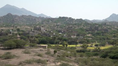 أهالي الوازعية يستنكرون جريمة عصابة حيدر ويطالبون بإسناد الحملة الأمنية لتثبيت الأمن