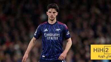 كل ما قدمه رايس أمام سندرلاند