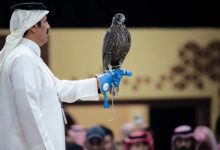 200 ألف ريال ثمن صقرين في الليلة الـ26 من "مزاد الصقور"